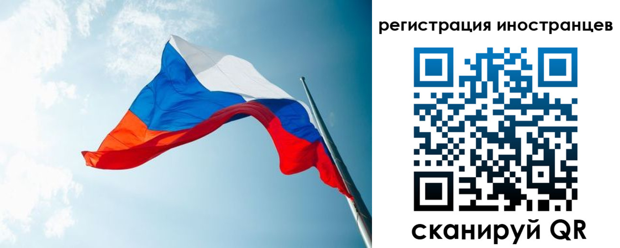 прописка для работы в Елизово