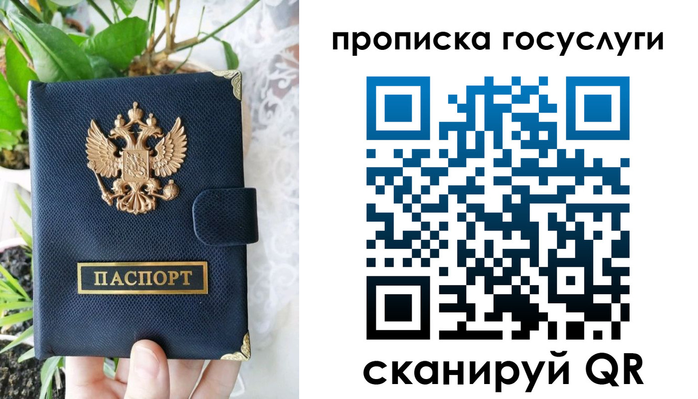 временная регистрация госуслуги в Елизово